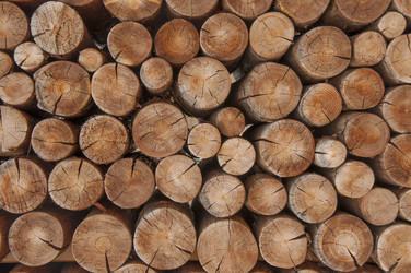 Similar image 21077033