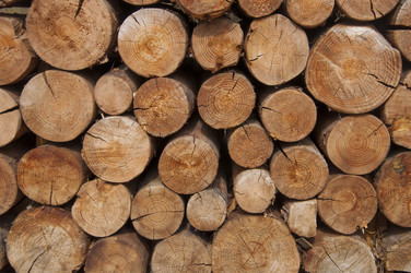 Similar image 21078045