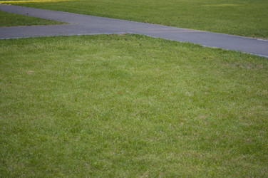 Similar image 21078046