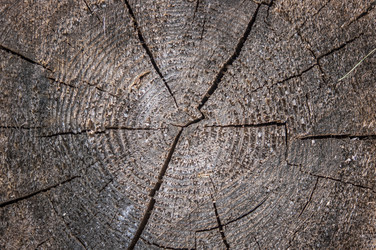 Similar image 21078086