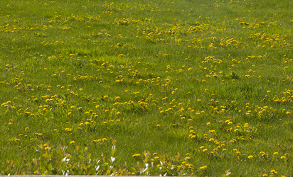 Similar image 21042001