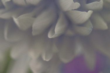 Similar image 21053833