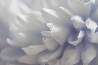 Similar image 21053834