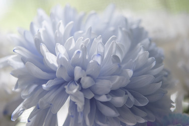 Similar image 21054004