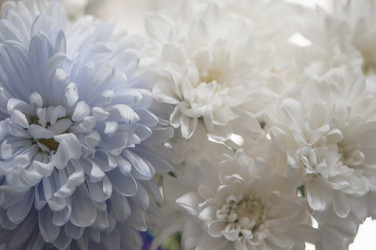 Similar image 21054005