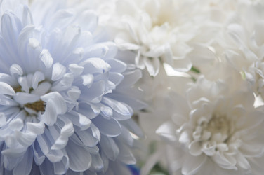 Similar image 21054060