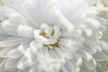 Similar image 21054061