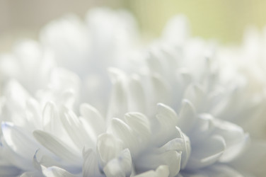 Similar image 21055589