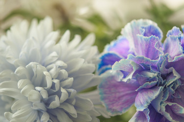 Similar image 21055591