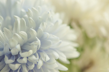 Similar image 21055592