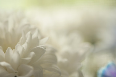 Similar image 21055593