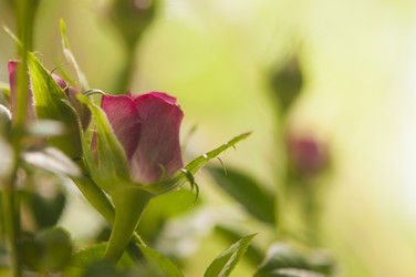 Similar image 21055594