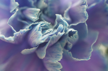 Similar image 21055720