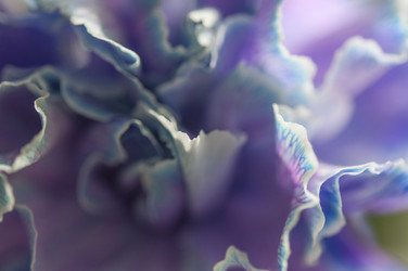 Similar image 21055721