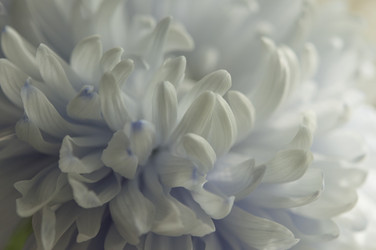 Similar image 21055723