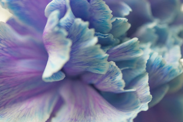 Similar image 21061591