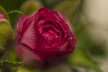 Similar image 21061594