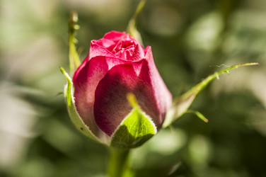 Similar image 21061595