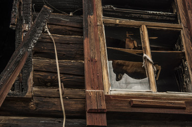 Similar image 21061684