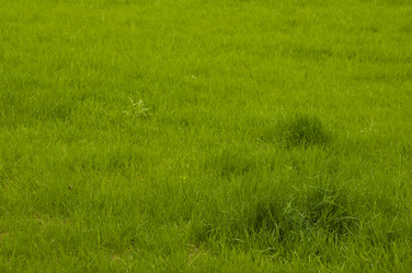 Similar image 21061978