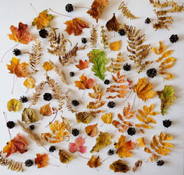 Similar image 21036272