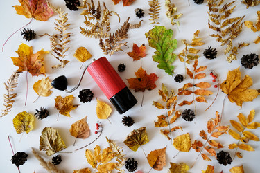 Similar image 21036273