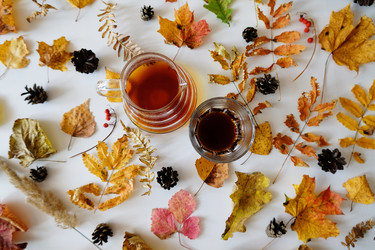 Similar image 21036279