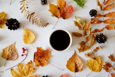 Similar image 21036282