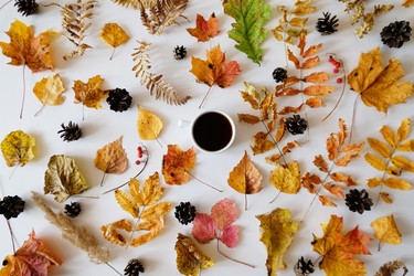 Similar image 21036283