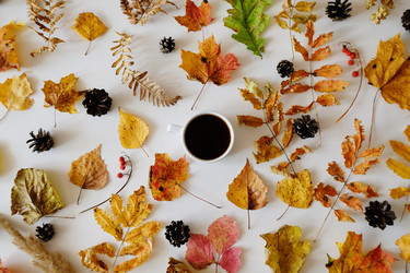 Similar image 21036285