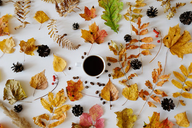 Similar image 21036286