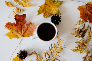 Similar image 21036287