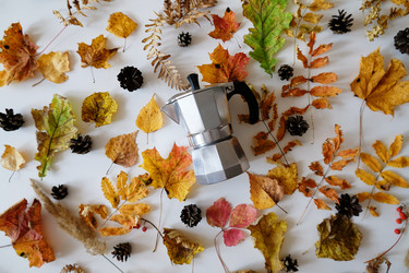 Similar image 21036288