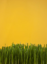 Similar image 21042008