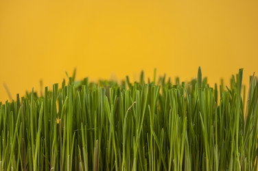 Similar image 21042009