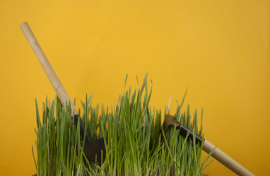 Similar image 21042010