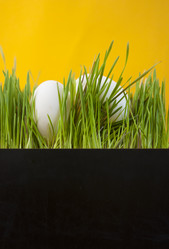 Similar image 21053838