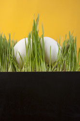 Similar image 21053839