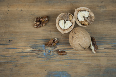 Similar image 21054007