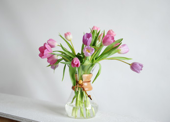 Similar image 21028929