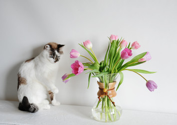 Similar image 21028930