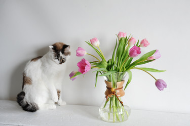 Similar image 21028931