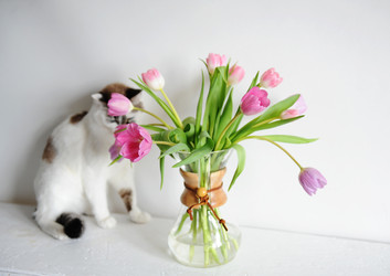 Similar image 21028932