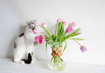 Similar image 21029523