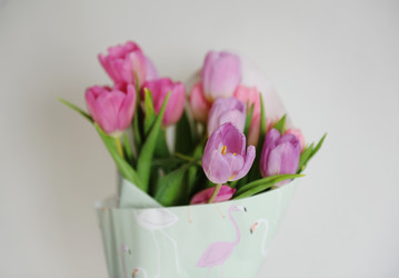 Similar image 21035235