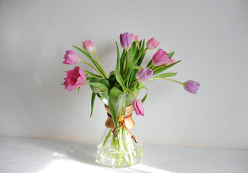 Similar image 21035263