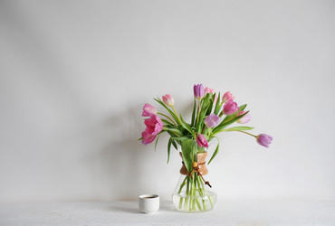 Similar image 21036114