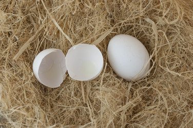 Similar image 21033906