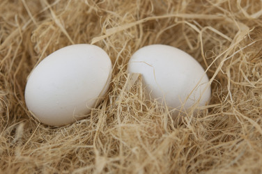 Similar image 21034029