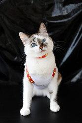 Similar image 21029527